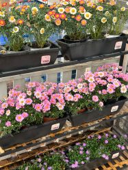 -YesYoga瑜伽普拉提塑形体雕馆