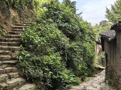 -杨家堂村