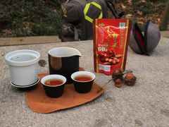 -上海佘山国家森林公园天马山园