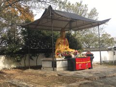 -上海佘山国家森林公园天马山园