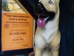 -疯狂屋