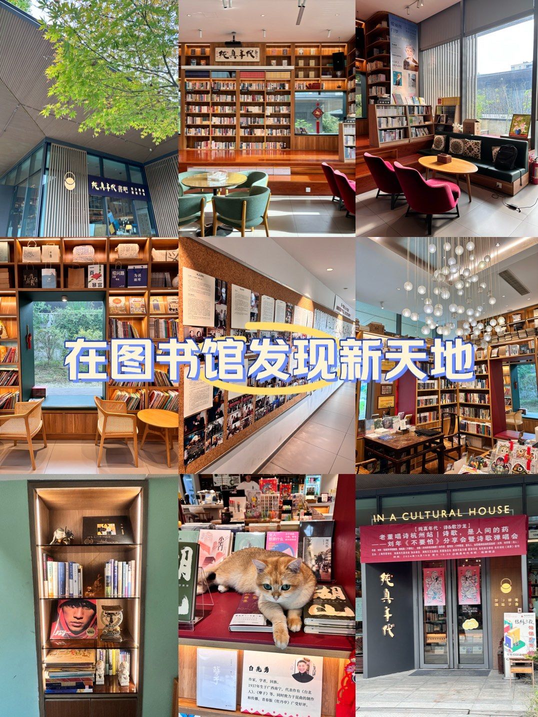 在图书馆发现新天地