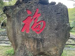 -海口火山口国家地质公园