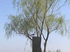 -野鸭湖国家湿地公园