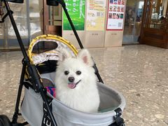 -开元商城(西旺店)