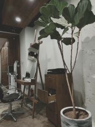 -Some Hair