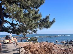 -青岛第一海水浴场