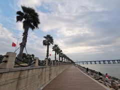 -宝安西湾红树林湿地公园