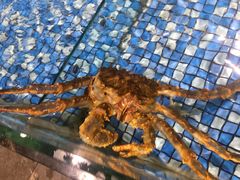 -旺豪海鲜餐厅(友谊阳光城店)