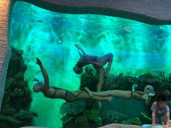-瑞德姆美人鱼海底演艺主题餐厅(亚龙湾店)