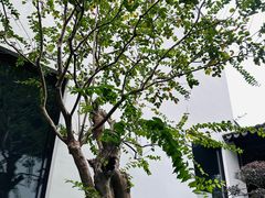 -金海华·华宴江南(斜塘店)