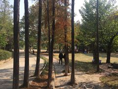 景点-张公山寨景区