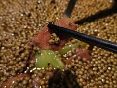 麻得跳-胡马八破·川菜小馆(高新万达店)