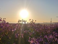 -东戴河风景区-止锚湾