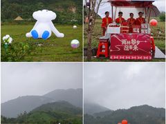 -海南热带雨林国家公园吊罗山景区
