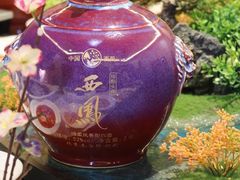 -秦月轩·陕西家乡菜(阜成路·五棵松店)