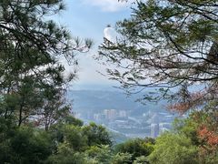 -白云山风景名胜区