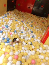 -宝燕乐园(闵行旗舰店)