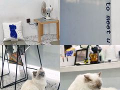 -FULL MOON满月咖啡