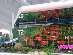 -广州白云国际机场-T2航站楼