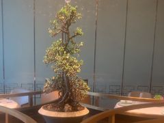 -运·中餐厅(成都华尔道夫酒店)