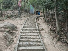 -上海佘山国家森林公园天马山园