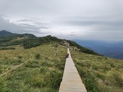 -白草畔自然风景区