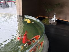 -吾悦广场(常州武进店)