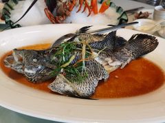 -沪华海鲜大酒楼(南汇店)