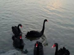 外景-上海怡沁园度假酒店