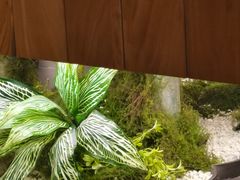 -乡村牛仔(奥林花园店)