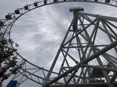 -上海野生动物园