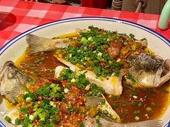 三椒蒸鲈鱼-荆九爷爆炒桥头三嫩(浙大店)