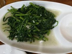 -阿静美食