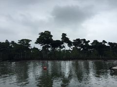 -东寨港红树林旅游区