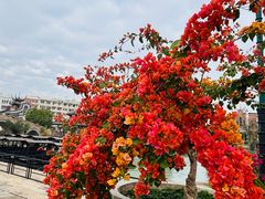 -赤坎·广东华侨国际旅游度假区