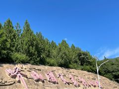 -蟒山国家森林公园天池停车场