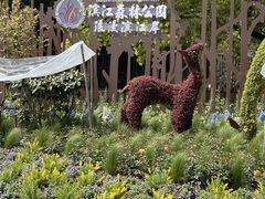 -上海滨江森林公园