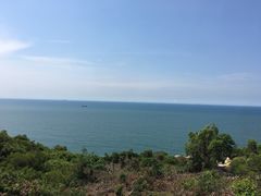 -广东惠东海龟国家级自然保护区