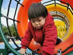 -铁山坪森林公园