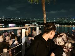-台场海滨公园船码头
