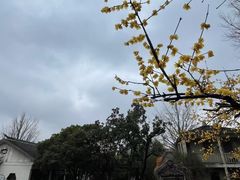 -水绘园