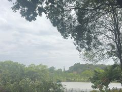 -东莞植物园