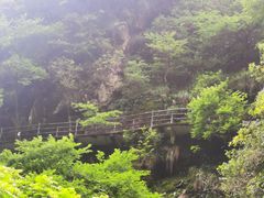 -大鄣山卧龙谷景区