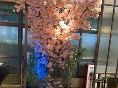 -野妹火锅(龙岗店)