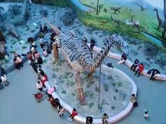 -辽宁古生物博物馆