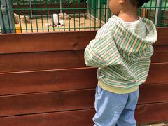 -羊亭河湿地公园