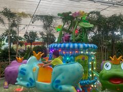 -南宫五洲植物乐园