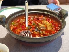 -秀儿四九城·新京菜(亚运村鸟巢店)