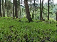 -硗碛藏寨·神木垒景区